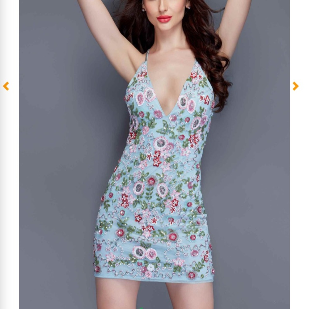Primavera Homecoming/Prom Dress